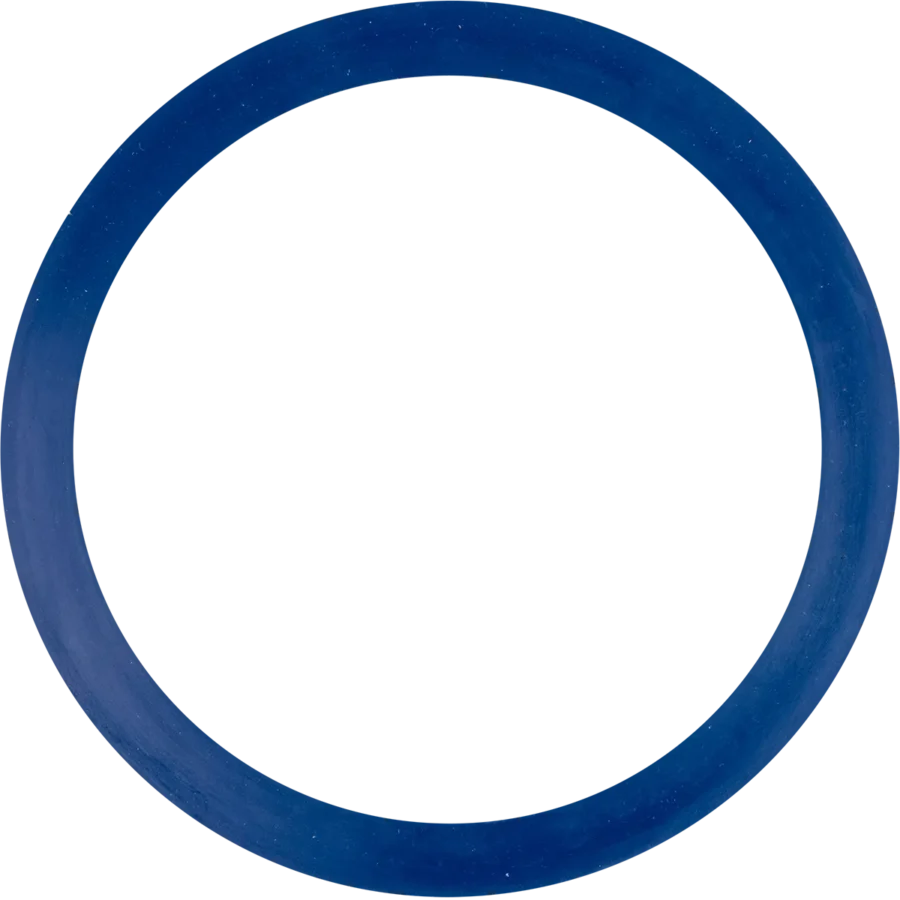 ElectroStrainer Sport Canister Gasket Replacement