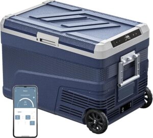 Electric cooler
