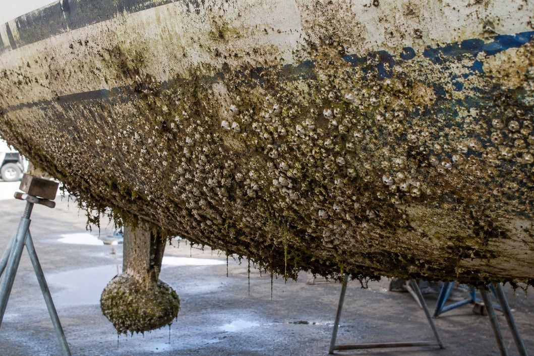 Build up of marine growth on boat keel and hull. Visible barnacles, faded and chipped paint, seaweed, and rust and brown-colored discoloration. Outside of water in a boat marine service center or at a dealer.