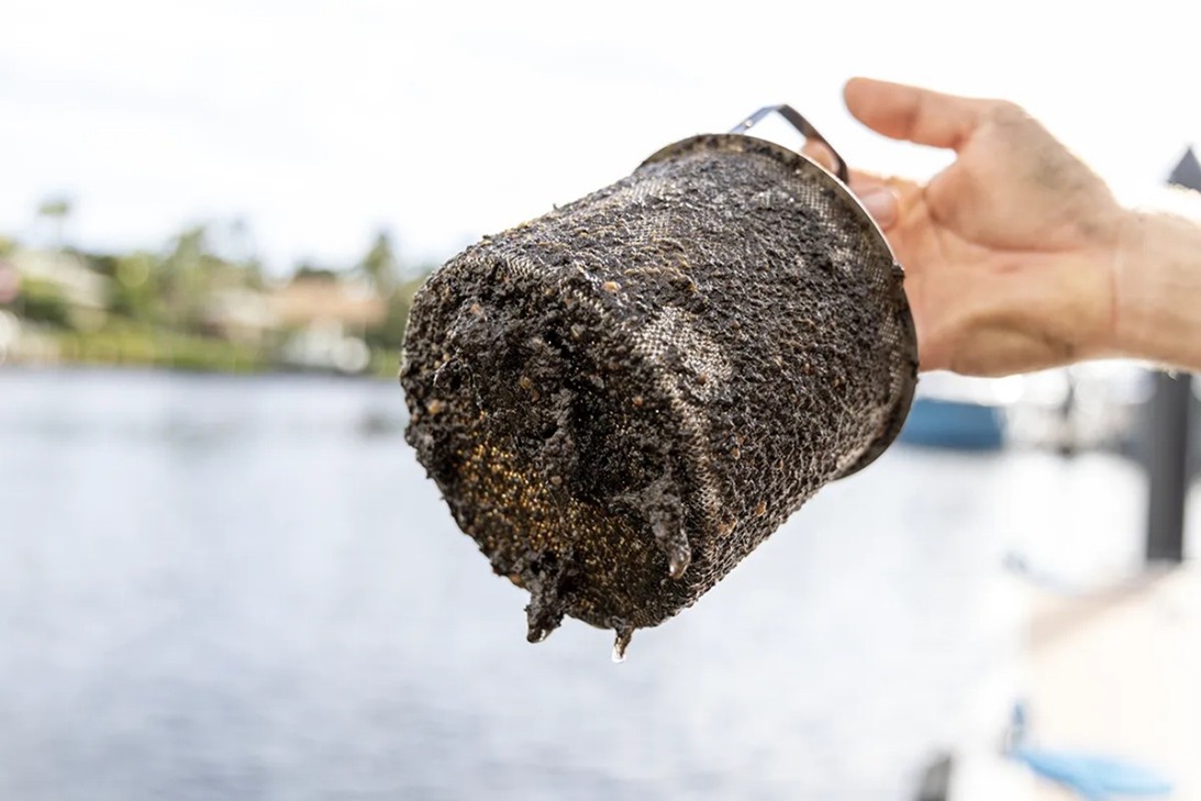 Woman at the dock of water holding a dirty seastrainer over the edge of dock. Sea strainer is covered in barnacles and seaweed and dark brown sludge. 