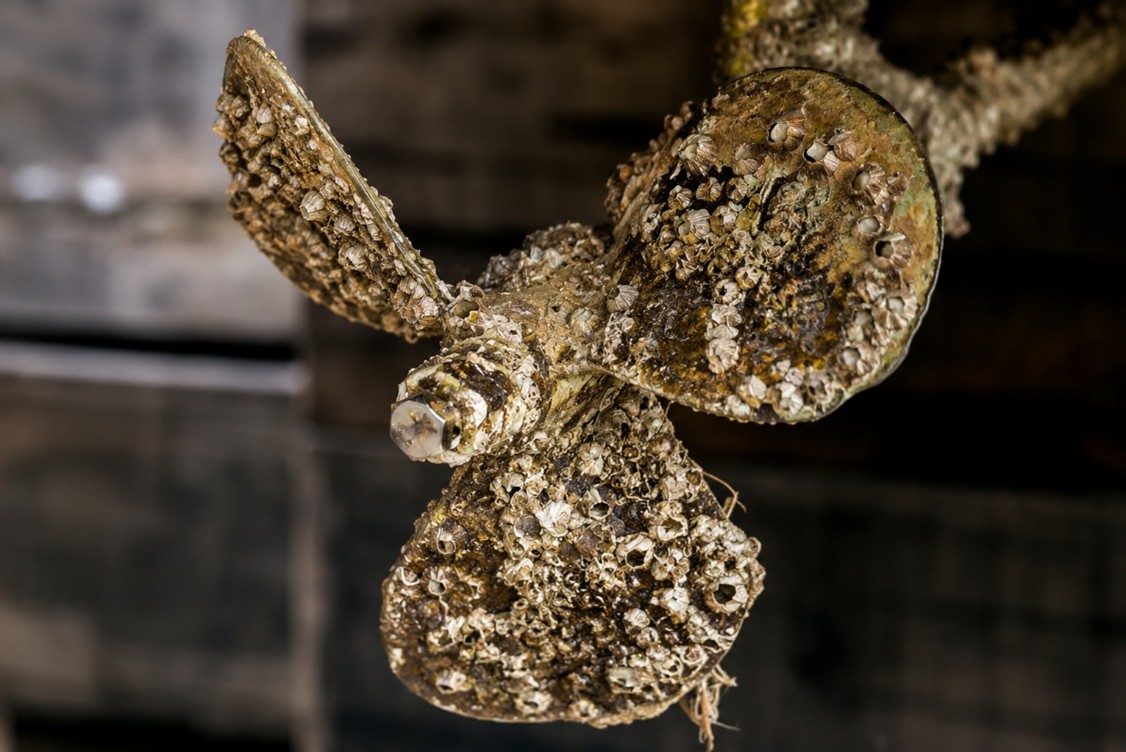 Marine growth encrusted on boat impeller: visible barnacles, algae, seaweed, seashells. 